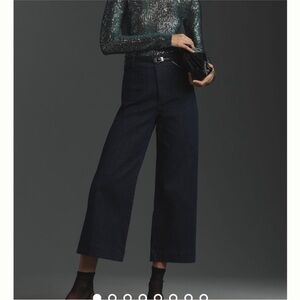 Anthropologie the Collette sparkle denim cropped jeans 18W